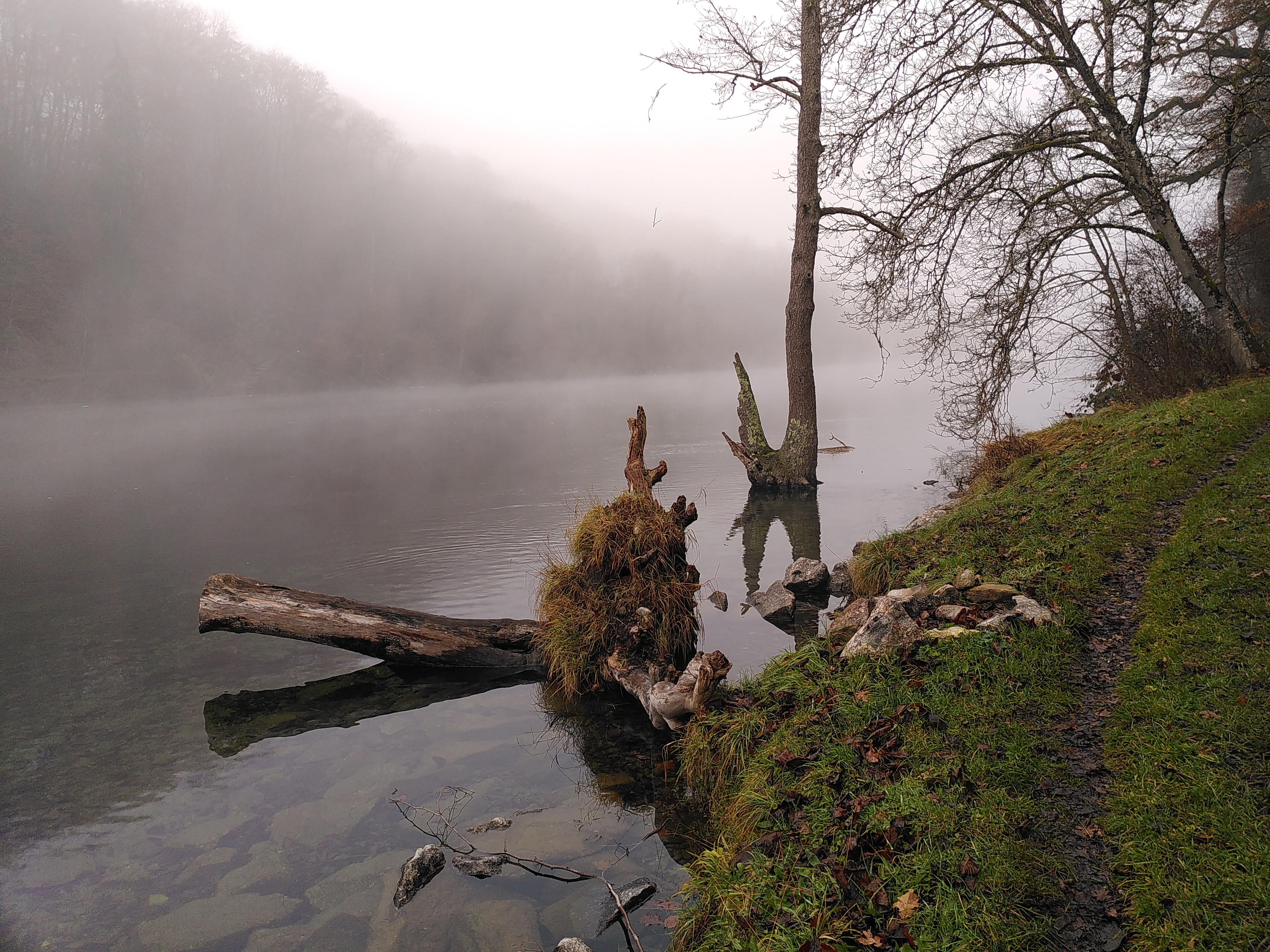 Vorwinterlich am Rhein